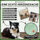 EINE ECHTE HERZENSSACHE — schwarz-weißer Hund, eingesperrte Hunde, Rumänien-Kartenpin; 1 KAUF = 1 SPENDE, UNSERE PATENHUNDE.