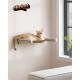 Eine flauschige orange Katze, die auf einem stilvollen, wandmontierten Katzenregal entspannt, mit dem Logo "clickat by feandrea" sichtbar darüber.
