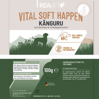 Eine Meeresschildkröte, die unter Wasser schwimmt, mit einer Plastiktüte in der Nähe ihrer Flosse. Der Text lautet: "1 KG FÜR 2 KG PLASTIK AUS DEM MEER" und "PLASTIC FREE PLANET."