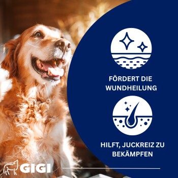 Blauer Hintergrund mit dem Text "Spezielle Zusammensetzung", Omega-3- und Calcium-Symbole, ein Bild einer 1,6 cm großen Pille und dem Gigi-Logo am unteren Rand.