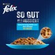 Aussi bon que beau 24 x 85 g Variété de saveurs aquatiques