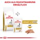 Royal Canin Urinary S/O Ageing 7+ Hundefutter, mit einem trockenen Beutel und einem feuchten Laibbeutel, mit dem Text "Auch als Feuchtnaahrung erhältlich."