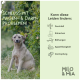 Ein Kind hält Hundefutter, während es einen schwarz-braunen Hund ansieht, mit einer Dose Milo & Mia Daily Bites und einem Testimonial von Andrea W.