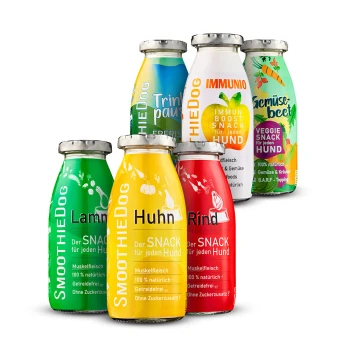 Sechs bunte Hundesmoothie-Flaschen, beschriftet mit Geschmacksrichtungen: Lamm, Huhn, Rind, Immunitätsbooster und Gemüse-Rübe, mit deutschem Text.
