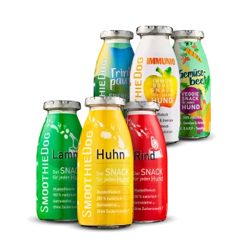 Sechs bunte Hundesmoothie-Flaschen, beschriftet mit Geschmacksrichtungen: Lamm, Huhn, Rind, Immunitätsbooster und Gemüse-Rübe, mit deutschem Text.