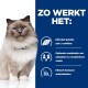 Een fluffy kat met blauwe ogen tegen een blauwe achtergrond met tekst over L-carnitine, vezels en bewezen antioxidanten.