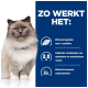 Een fluffy kat met blauwe ogen tegen een blauwe achtergrond met tekst over L-carnitine, vezels en bewezen antioxidanten.