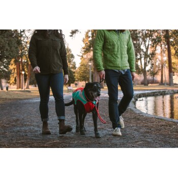 Eine Frau in einer grünen Jacke und ein Mann in einer grünen Steppjacke führen einen schwarzen Hund, der einen rot-grünen Mantel trägt, auf einem Parkweg.