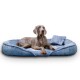 Ein grauer Weimaraner-Hund, der auf einem weichen blauen Haustierbett mit einem kleinen passenden Kissen entspannt, und aufmerksam in die Kamera schaut.