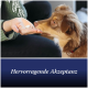 Brauner Hund schnuppert an einer weißen Tablette aus der Hand einer Person; blauer Banner mit der Aufschrift “Hervorragende Akzeptanz”.