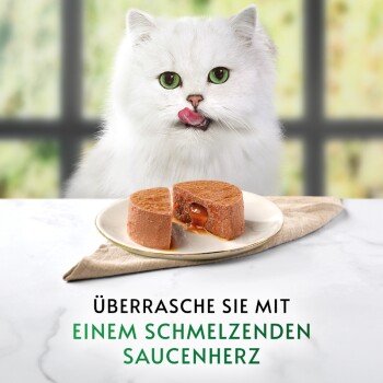 Eine flauschige weiße Katze mit grünen Augen leckt sich die Lippen neben einem runden, kuchenförmigen Haustierfutter, mit Text über ein schmelzendes Soßenherz.