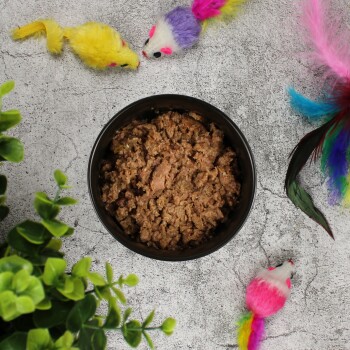 Eine schwarze Schüssel mit nasser Katzenfutter steht auf einer strukturierten Oberfläche, umgeben von bunten Spielzeugmäusen und lebhaften Federn, mit grünen Blättern in der Nähe.