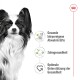 Ein schwarz-weißer Papillon-Hund mit großen Ohren neben Textsymbolen: 'Gesunde Abwehrkräfte', 'Zahngesundheit', 'Optimale Unterstützung.'