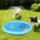 Zwei verspielte Hunde, ein Cavalier King Charles Spaniel und ein schwarz-weißer Hund, planschen in einem Kinderpool mit gelben Gummienten.