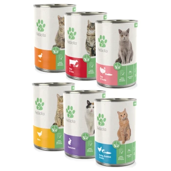 Sechs Dosen Fellicita Haustierfutter mit verschiedenen Geschmacksrichtungen: Ente, Rind & Ente, Truthahn & Huhn, Huhn, Kaninchen und Hering & Krabbe.