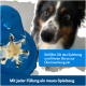 Ein blauer Pinguin-Hundespielzeug, teilweise gefüllt, neben einem neugierigen schwarz-weißen Hund. Text: "Fülle das Spielzeug und friere es für eine Überraschung ein."