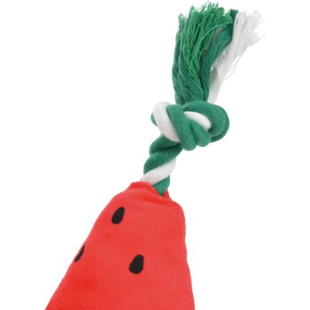 Rotes Hundespielzeug in Form einer Wassermelone mit schwarzen Samen und grün-weißem geknotetem Seilgriff.
