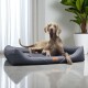 Großer grauer Hund liegt auf einem dunkelgrauen Haustierbett mit Lederetikett, neben einem Topfpflanze und transparenten Vorhängen.