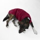 Gestromter Hund trägt burgunderfarbenen Fleece-Mantel und liegt auf weißem Hintergrund.