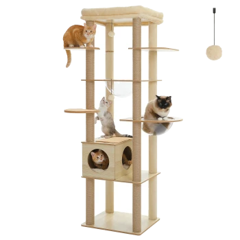 Beiger mehrstöckiger Kratzbaum mit Sisalstämmen, hölzernem Würfelversteck, durchsichtiger Blasenliege und hängendem Pompom; vier Katzen.