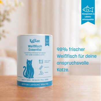 KatKare Weißfisch‑Snackanzeige: 'Nur Gutes drin für deine Katze' — Frischer Fisch 98 %, Chicorée‑Inulin 1 %, Rote Früchte.
