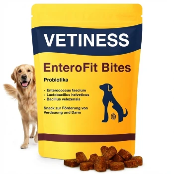 Gelbe VETINESS-EnteroFit-Bites-Tasche mit Aufdruck ‚Probiotika‘, verstreuten Kroketten und einem Golden Retriever neben der Verpackung.