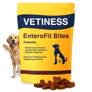Gelbe VETINESS-EnteroFit-Bites-Tasche mit Aufdruck ‚Probiotika‘, verstreuten Kroketten und einem Golden Retriever neben der Verpackung.