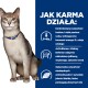 Chat gris assis avec collier bleu à côté d'un panneau bleu indiquant « JAK KARMA DZIAŁA : » (comment la nourriture agit) et des puces en polonais sur la santé rénale.