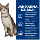 Chat gris assis avec collier bleu à côté d'un panneau bleu indiquant « JAK KARMA DZIAŁA : » (comment la nourriture agit) et des puces en polonais sur la santé rénale.