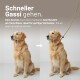 Golden Retriever Vorher/Nachher mit Schnell-Anzieh-Halsband und Leine; deutsche Überschrift: „Schneller Gassi gehen.“