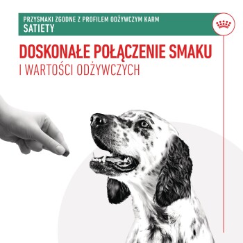 Ręka oferuje przysmak szczęśliwemu plamkowemu psu. Tekst brzmi: "Idealne połączenie smaku i odżywiania" oraz "Przysmaki zgodne z dietą sytości."