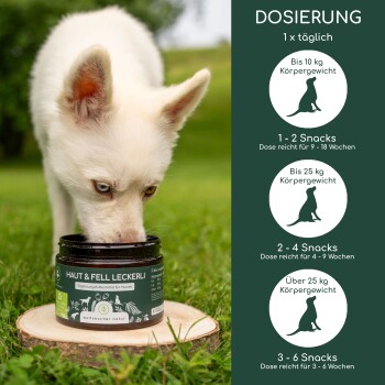 Ein weißer Hund, der ein schwarzes Glas mit der Aufschrift 'HAUT & FELL LECKERLI' auf einem Holzscheit schnüffelt, mit Dosierungsanweisungen für verschiedene Hundew weights.