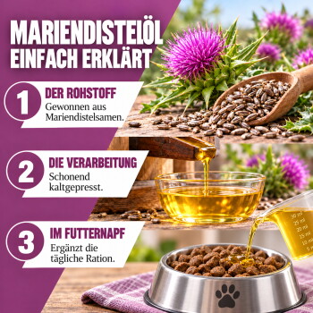Ein kastanienbraunes Pferd mit einem weißen Stern auf der Stirn steht zwischen hohem Gras und bunten Wildblumen in einem üppigen grünen Feld.