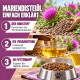 Ein kastanienbraunes Pferd mit einem weißen Stern auf der Stirn steht zwischen hohem Gras und bunten Wildblumen in einem üppigen grünen Feld.
