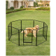 Ein Golden Retriever steht in einem schwarzen Metallspielplatz für Hunde auf grünem Gras, mit einem Haus und Garten im Hintergrund.