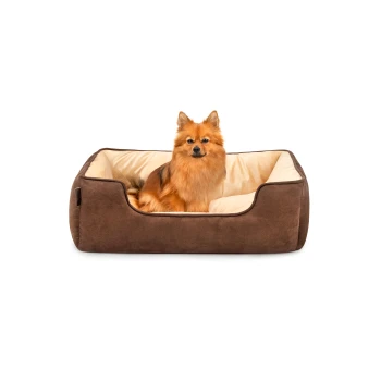 Ein flauschiger orangefarbener Pomeranian-Hund sitzt bequem in einem plüschigen braunen Hundebett mit einem cremefarbenen Innenraum.