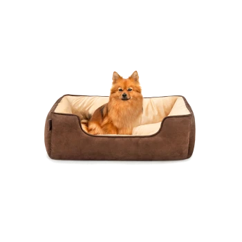 Ein flauschiger orangefarbener Pomeranian-Hund sitzt bequem in einem plüschigen braunen Hundebett mit einem cremefarbenen Innenraum.