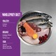 Eine Edelstahlschüssel hält rohes Huhn, Truthahn, Lachs, Hering, Makrele, Innereien, Leber, Eigelb, Cranberries und Brombeeren.