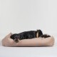 Ein schwarzer Hund liegt bequem auf einem weichen, beigen Haustierbett vor einem schlichten weißen Hintergrund.