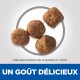 Quatre croquettes rondes pour animaux de compagnie, d'environ 12x12mm, affichées sur un fond clair avec le texte "UN GOÛT DÉLICIEUX" en dessous.
