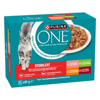 Packung Purina ONE Sterilcat Katzenfutter, mit einer flauschigen grauen Katze, mit sichtbarem Text, der Vorteile wie Gewichtskontrolle und Harnwegsgesundheit hervorhebt.