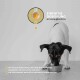 Wurm-Mix Pulver für Hunde, Natürliche Alternative | 90 gr