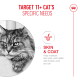 Long-haired cat photo with text TARGET 11+ CAT'S SPECIFIC NEEDS and SKIN & COAT: linoleic acid for skin and coat