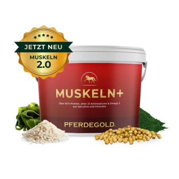 Roter "PFERDEGOLD" Behälter, beschriftet für Pferdeergänzungen, mit Qualitätsbewertung und Symbolen für Geld-zurück-Garantie und Ergebnisse in zwei Wochen.