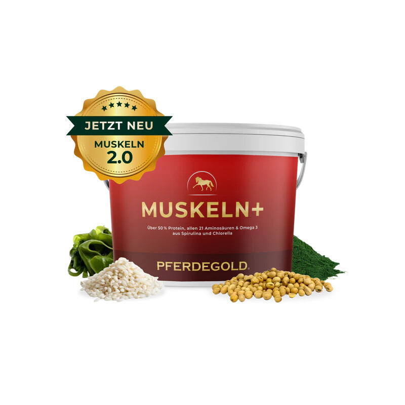 Pferdegold Muskeln+ 1.5 kg