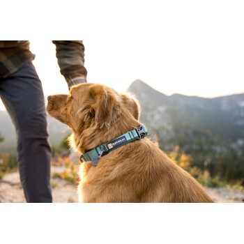 Ein Golden Retriever, der ein blaues Ruffwear-Halsband trägt, steht im Freien, während eine Person sanft seinen Kopf vor einer malerischen Bergkulisse streichelt.