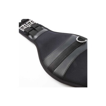 Nahaufnahme eines schwarzen Haustiergeschirrs mit verstellbaren Riemen und einem metallenen D-Ring zur Leinenbefestigung.