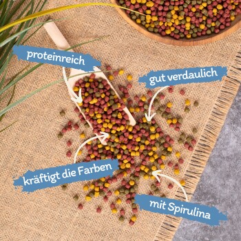 Bunte Tierfutterpellets auf Jute mit einer Holzschaufel. Text: "proteinreich," "gut verdaulich," "kräftigt die Farben," "mit Spirulina."
