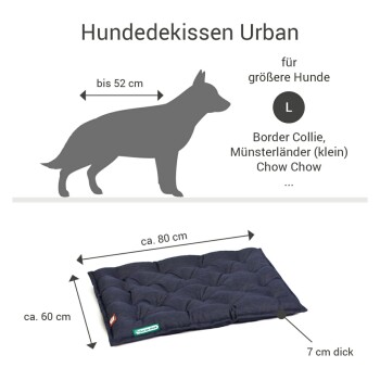 Hundebett "Urban" für größere Hunde, Maße: 80 cm x 60 cm, 7 cm dick, geeignet für Rassen wie Border Collie und Chow Chow.