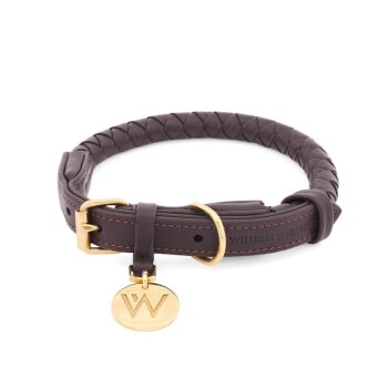 Hundehalsband Twisted Earth XXL